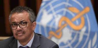 Hantavirus: La OMS llama a la cautela sin alarmismo