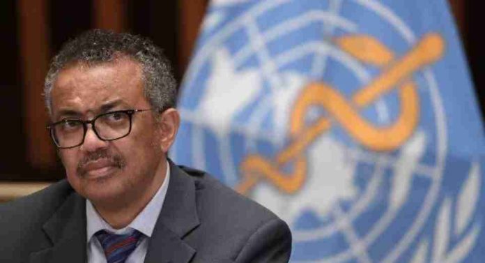 Hantavirus: La OMS llama a la cautela sin alarmismo