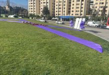 Hasta tres años puede tardar el diagnóstico de una Enfermedad Inflamatoria Intestinal en Chile: pacientes alertan sobre impacto del retraso en acceso a tratamiento Hasta tres años puede tardar el diagnóstico de una Enfermedad Inflamatoria Intestinal en Chile: pacientes alertan sobre impacto del retraso en acceso a tratamiento