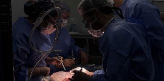Hospital Clínico U. de Chile logra hito con su primer trasplante hepático con donante vivo