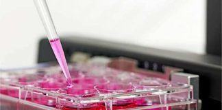 Más de 4.500 pacientes toman parte en la investigación clínica de Johnson & Johnson Innovative Medicine en España Más de 4.500 pacientes toman parte en la investigación clínica de Johnson & Johnson Innovative Medicine en España
