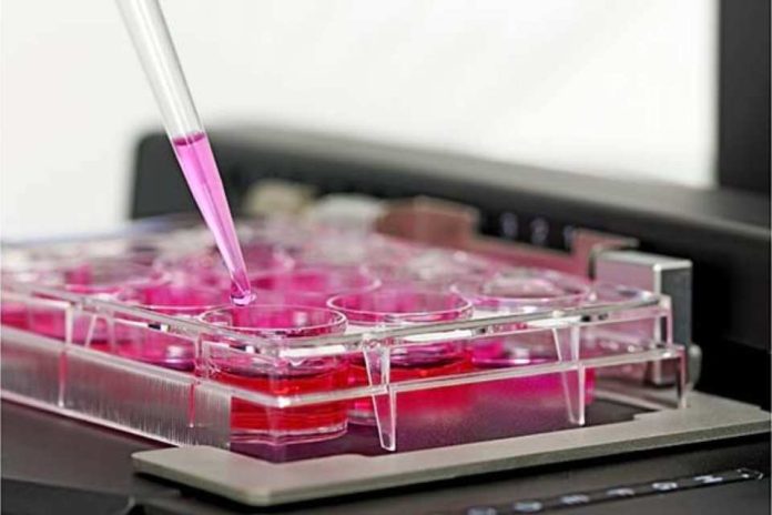 Más de 4.500 pacientes toman parte en la investigación clínica de Johnson & Johnson Innovative Medicine en España Más de 4.500 pacientes toman parte en la investigación clínica de Johnson & Johnson Innovative Medicine en España