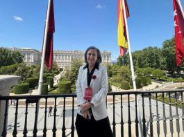 Ministra Chomali participa en la XVII Conferencia Iberoamericana de Ministras y Ministros de Salud que se realiza en España