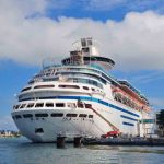 Norovirus: qué hay detrás de los nuevos contagios reportados en cruceros