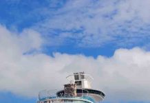 Norovirus: qué hay detrás de los nuevos contagios reportados en cruceros