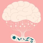 ¿Problemas de concentración La causa podría estar en tu intestino