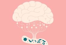 ¿Problemas de concentración La causa podría estar en tu intestino