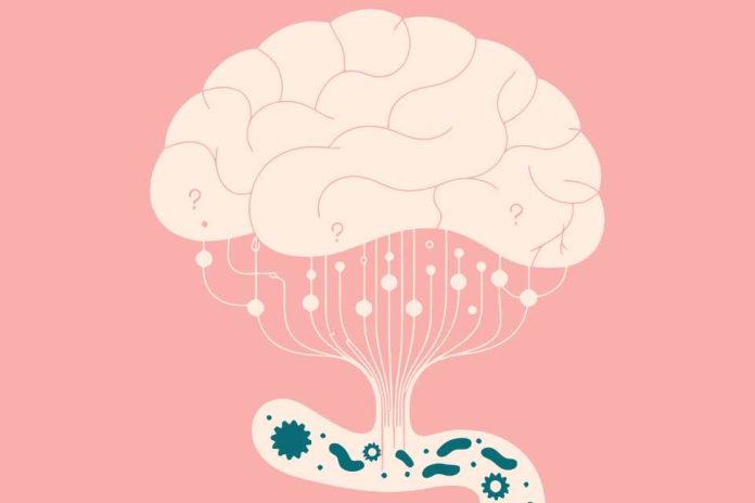 ¿Problemas de concentración La causa podría estar en tu intestino