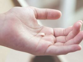 ¿Qué hacer si se te cae un diente definitivo? El error que puede hacerte perderlo para siempre, según expertos ¿Qué hacer si se te cae un diente definitivo? El error que puede hacerte perderlo para siempre, según expertos