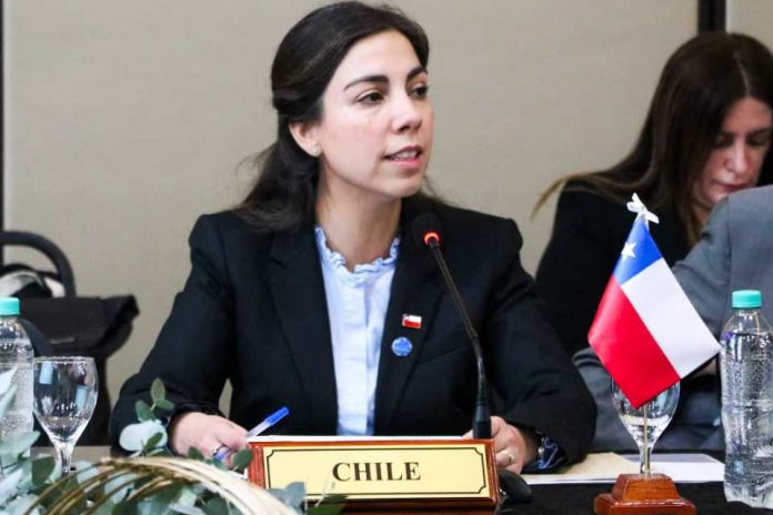 Chile fortalece la cooperación regional en reunión de ministros de Salud del Mercosur Chile fortalece la cooperación regional en reunión de ministros de Salud del Mercosur