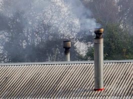 Contaminación y salud: Expertas advierten efectos del cambio climático Contaminación y salud: Expertas advierten efectos del cambio climático