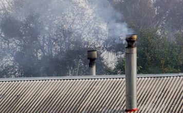 Contaminación y salud: Expertas advierten efectos del cambio climático