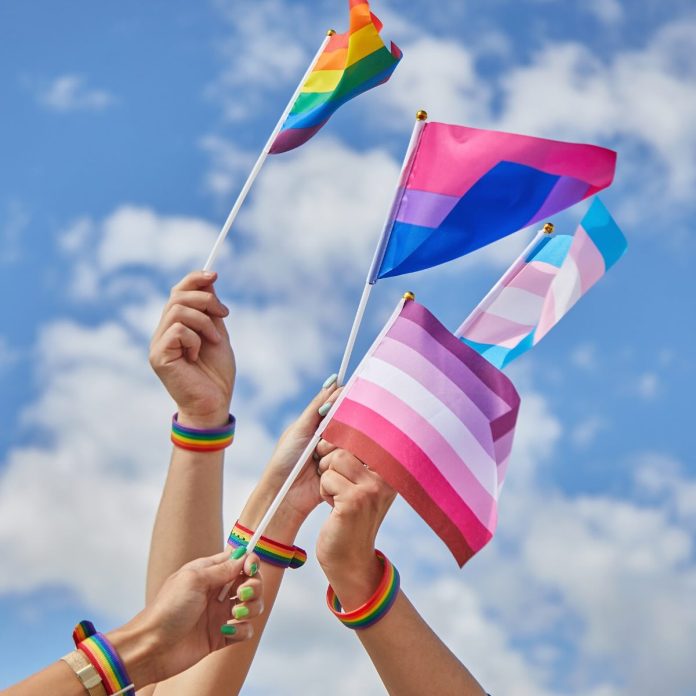 Día del Orgullo LGBT+: expertos llaman a ampliar la conversación sobre salud sexual más allá de la anticoncepción