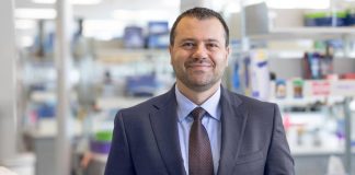 Investigadores identifican una nueva vía renal con la ayuda de un fármaco de la década de 1940 que podría mejorar el tratamiento de la enfermedad renal poliquística