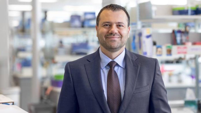 Investigadores identifican una nueva vía renal con la ayuda de un fármaco de la década de 1940 que podría mejorar el tratamiento de la enfermedad renal poliquística