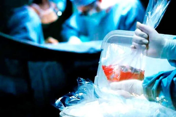 La adherencia no es opcional: el desafío cotidiano de vivir con un órgano trasplantado