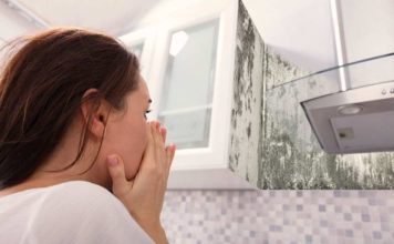 Moho en casa: Cómo la humedad en el hogar puede afectar las vías respiratorias y poner en riesgo a los niños