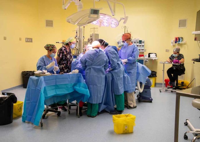 Operativo quirúrgico permite intervenir a niños con secuelas de quemaduras en Puerto Montt
