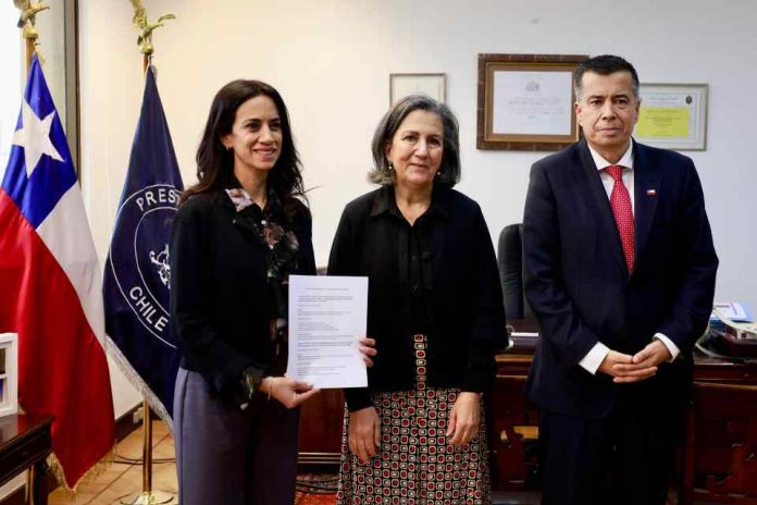 Ministra de Salud, May Chomali, anuncia urgencia a proyectos sobre fertilidad