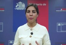 Ministerio de Salud declara Alerta Sanitaria por hantavirus desde Atacama a Magallanes