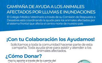 COLMEVET INICIA CAMPAÑA DE DONACIÓN DE RECURSOS POR INUNDACIONES COLMEVET INICIA CAMPAÑA DE DONACIÓN DE RECURSOS POR INUNDACIONES