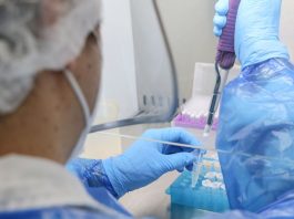 Cocaína al alza y cannabis a la baja: dos años de monitoreo revelan un cambio en el consumo de drogas en Biobío Cocaína al alza y cannabis a la baja: dos años de monitoreo revelan un cambio en el consumo de drogas en Biobío