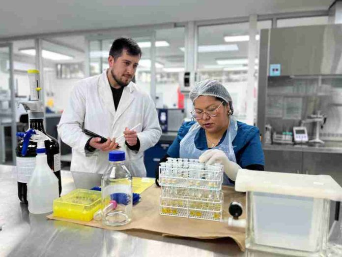 Farmavet: laboratorio de excelencia al servicio del país 100% operativo