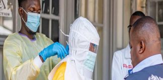 Internacional |Un nuevo catálogo de virus revela qué patógenos representan la mayor amenaza