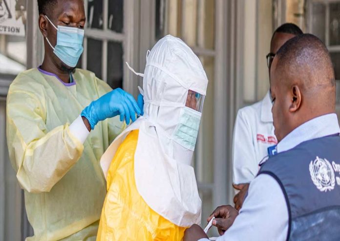 Internacional |Un nuevo catálogo de virus revela qué patógenos representan la mayor amenaza Internacional |Un nuevo catálogo de virus revela qué patógenos representan la mayor amenaza