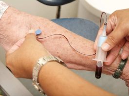 Investigadores logran estimar riesgo de fragilidad a partir de exámenes de sangre