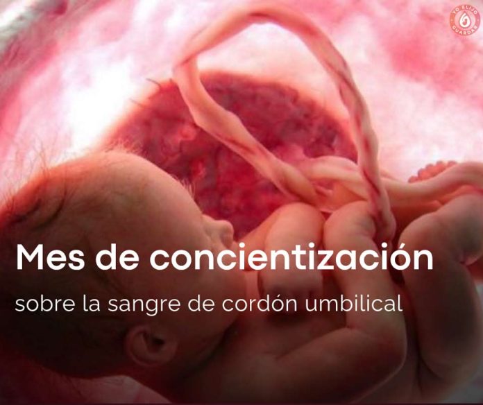 Más de 80 enfermedades pueden tratarse con células madre del cordón umbilical
