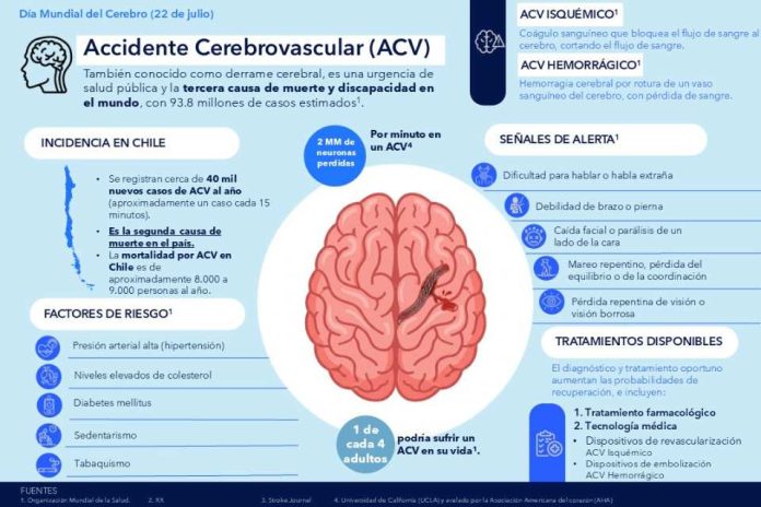 “Por cada minuto que un ACV isquémico permanece sin tratamiento, se pierden en promedio 2 millones de neuronas”
