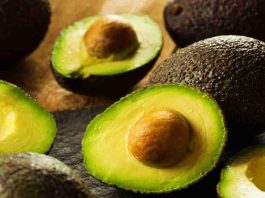 Por qué la palta sigue siendo un infaltable de la mesa de los chilenos y qué dice la ciencia sobre sus beneficios