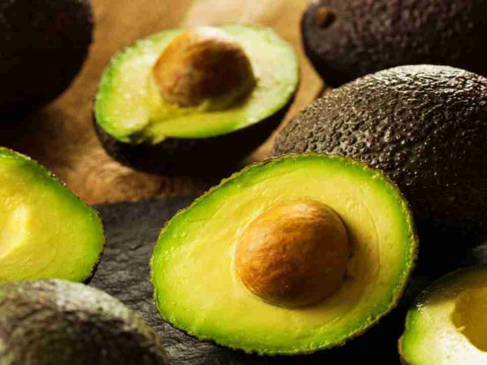 Por qué la palta sigue siendo un infaltable de la mesa de los chilenos y qué dice la ciencia sobre sus beneficios