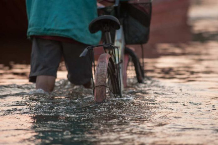 Columna de opinión | Siete consejos para evitar riesgos sanitarios durante el temporal Columna de opinión | Siete consejos para evitar riesgos sanitarios durante el temporal