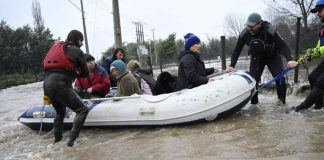 Sistema frontal: Colmevet recuerda considerar a la dimensión animal ante la emergencia