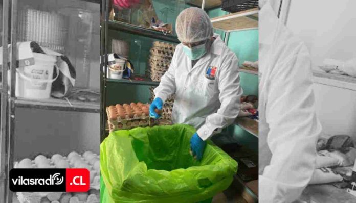 seremi de salud confirma tres brotes de salmonella con 52 infectados y cuatro personas hospitalizadas en tarapacá