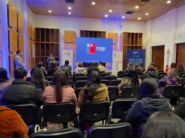 Empresas de Ñuble avanzan en inclusión laboral de personas con discapacidad