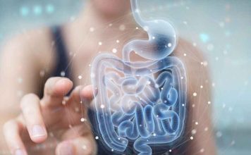 Identificación de las bacterias intestinales asociadas al cáncer colorrectal