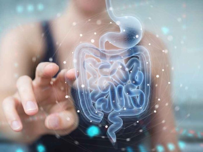 Identificación de las bacterias intestinales asociadas al cáncer colorrectal