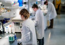 La nanoterapia experimental de doble fármaco de Mayo Clinic atraviesa la barrera hematoencefálica y mejora la supervivencia en modelos preclínicos de glioblastoma
