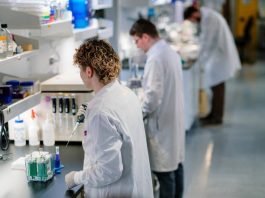 La nanoterapia experimental de doble fármaco de Mayo Clinic atraviesa la barrera hematoencefálica y mejora la supervivencia en modelos preclínicos de glioblastoma La nanoterapia experimental de doble fármaco de Mayo Clinic atraviesa la barrera hematoencefálica y mejora la supervivencia en modelos preclínicos de glioblastoma