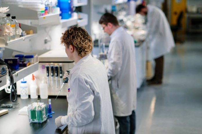 La nanoterapia experimental de doble fármaco de Mayo Clinic atraviesa la barrera hematoencefálica y mejora la supervivencia en modelos preclínicos de glioblastoma