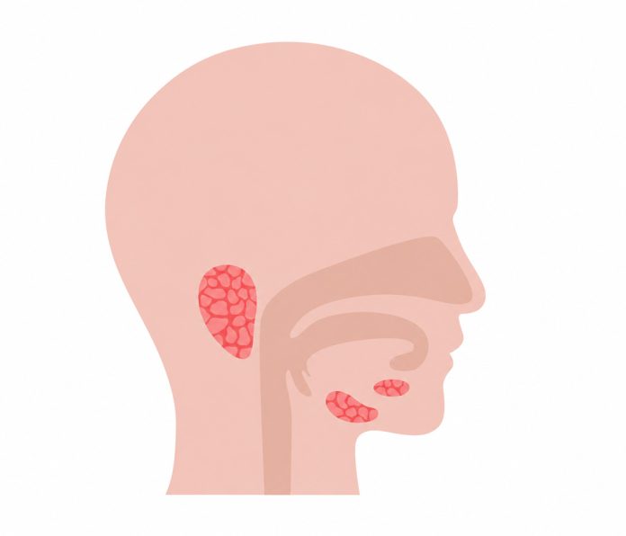 Las señales de alerta para reconocer a tiempo un cáncer de cabeza y cuello Las señales de alerta para reconocer a tiempo un cáncer de cabeza y cuello