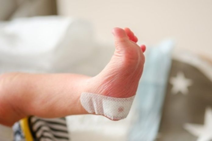 Leche materna podría ser clave para aliviar el dolor en recién nacidos según estudio internacional liderado por chilena