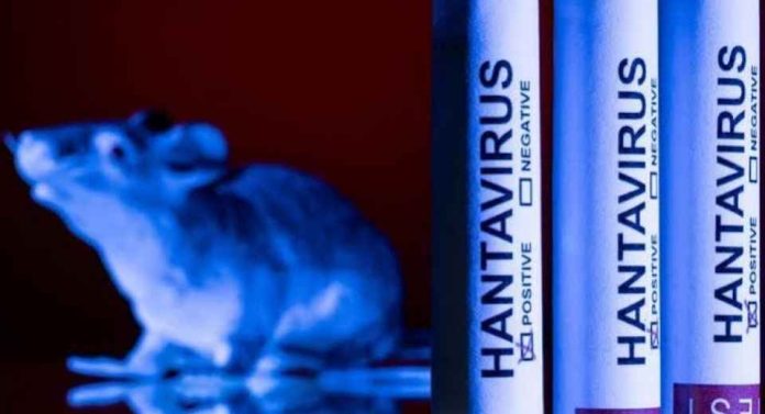 Mortalidad por Hantavirus se duplica en 2026 y activa alerta sanitaria entre Valparaíso y Aysén