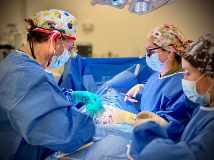 Operativo médico de especialistas reducirá las listas de espera infantil en Calama