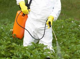 Tras el cierre del caso Roundup, ODECU llama a Bayer a evaluar en Chile soluciones similares a las impulsadas en Estados Unidos