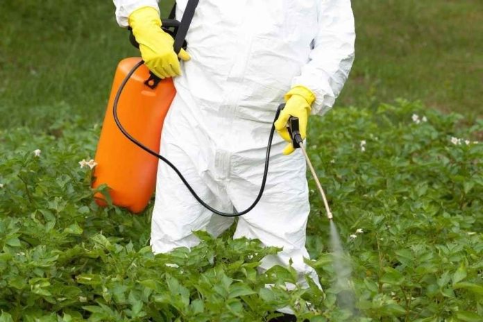 Tras el cierre del caso Roundup, ODECU llama a Bayer a evaluar en Chile soluciones similares a las impulsadas en Estados Unidos