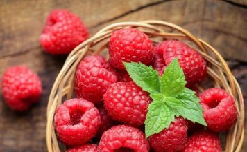 Color que alimenta: la ciencia detrás del potencial de las antocianinas para la alimentación y la salud